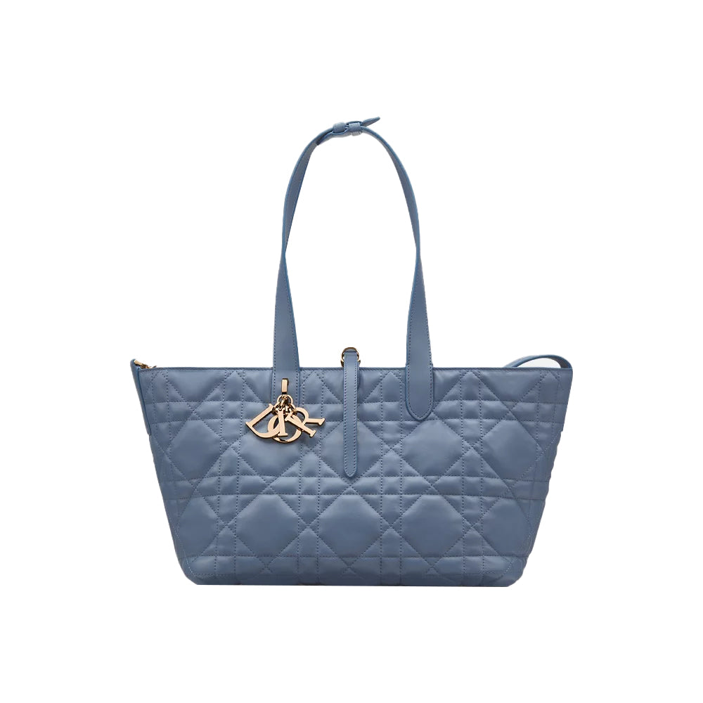 CHRISTIAN DIOR