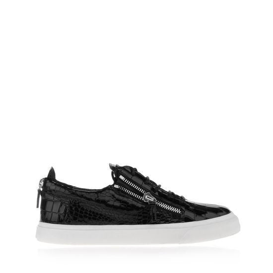 Giuseppe Zanotti