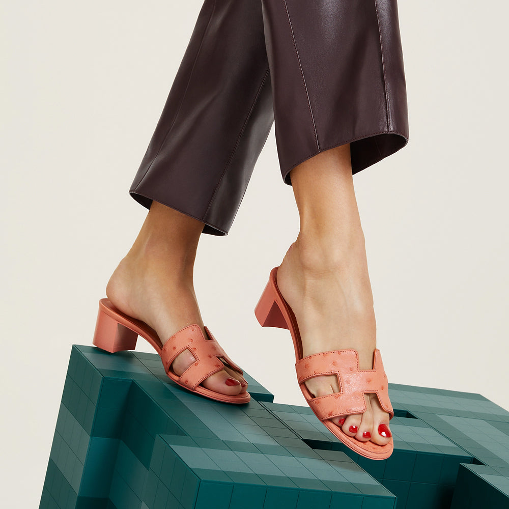 HERMES